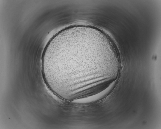 X0000114681335200911121448