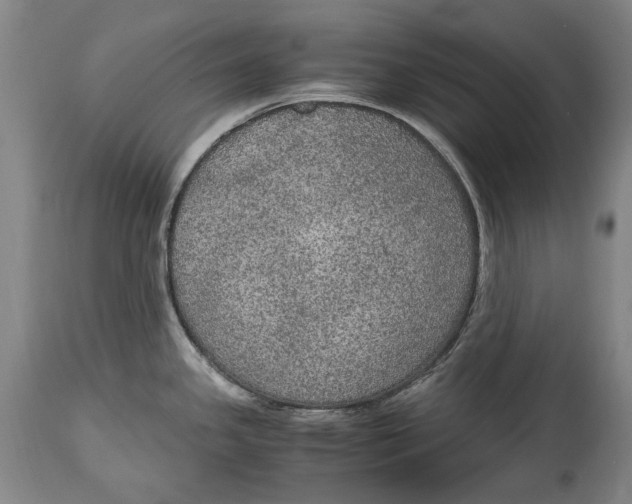 X0000114681341200911121448