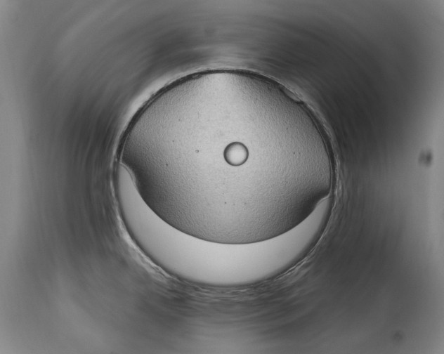 X0000114681342200911121448
