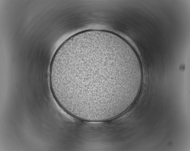 X0000114681343200911121448