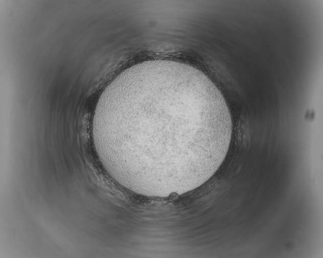 X0000114681346200911121447