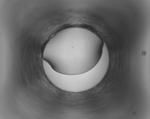 X0000114681348200911121447
