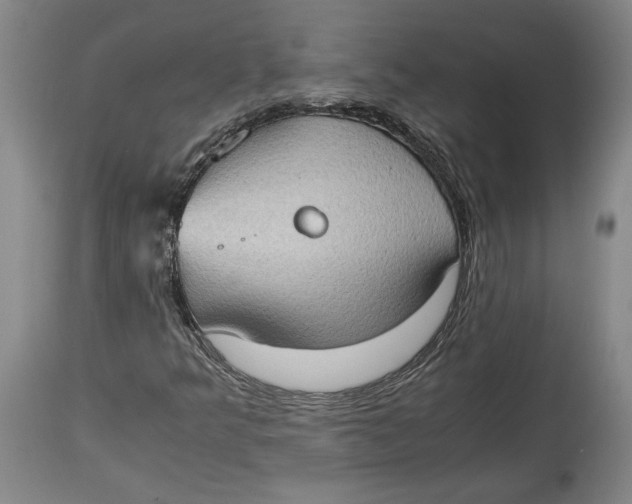 X0000114681349200911121447