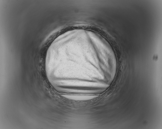 X0000114681351200911121447