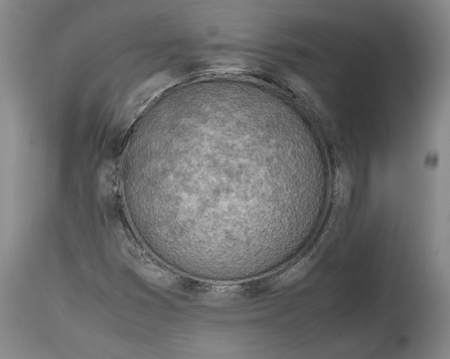X0000114681353200911121447