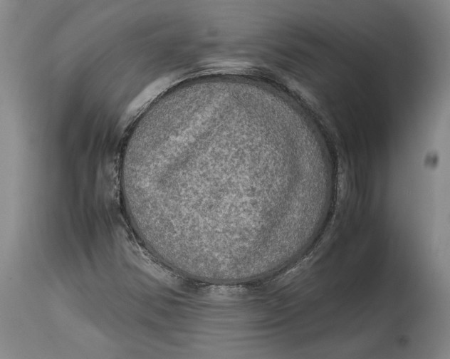 X0000114681354200911121447