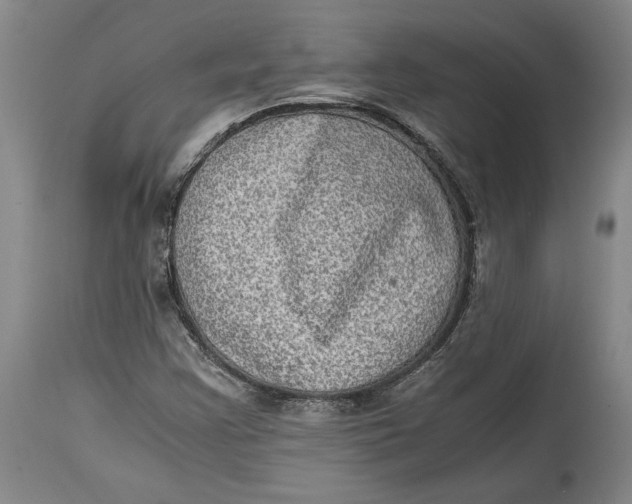 X0000114681355200911121447