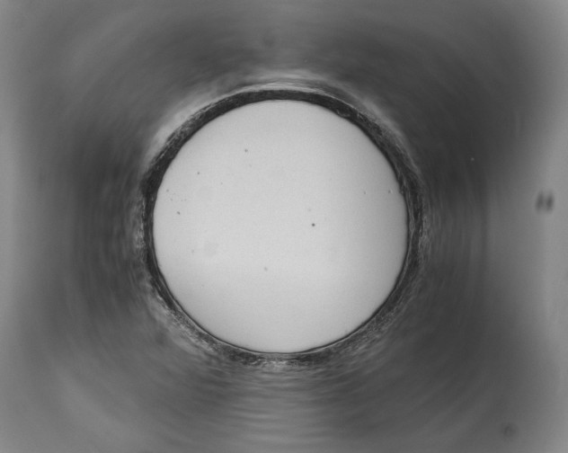 X0000114681360200911121447