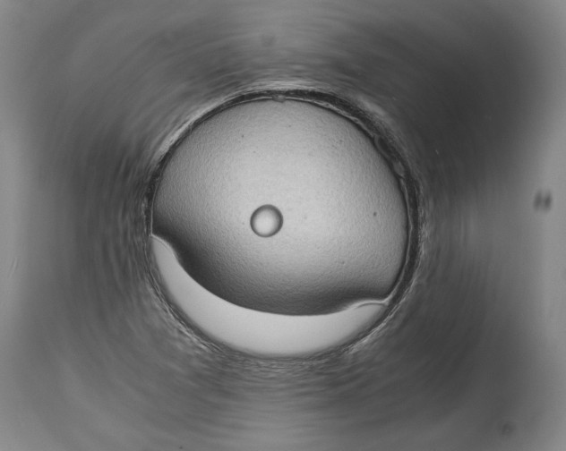 X0000114681361200911121447