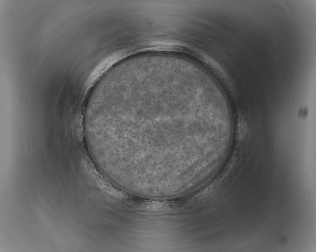 X0000114681362200911121447
