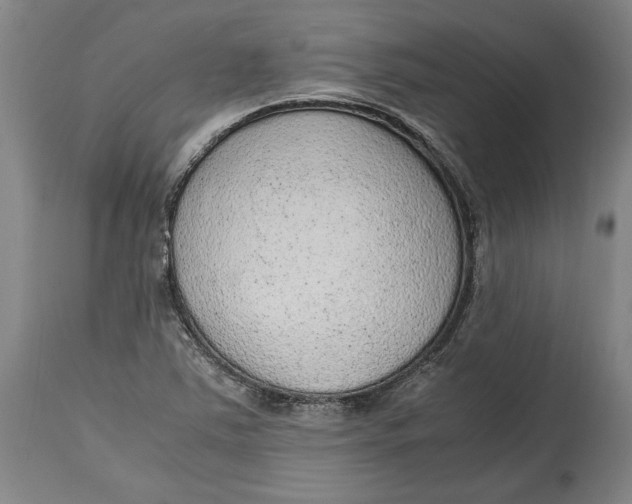 X0000114681363200911121447