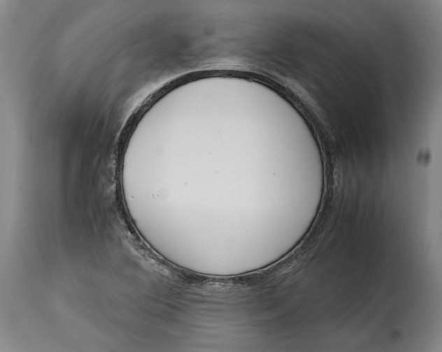X0000114681364200911121447