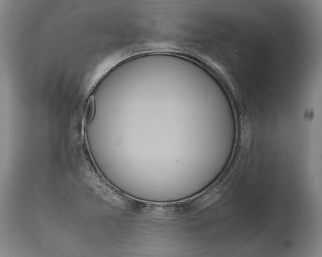 X0000114681365200911121447