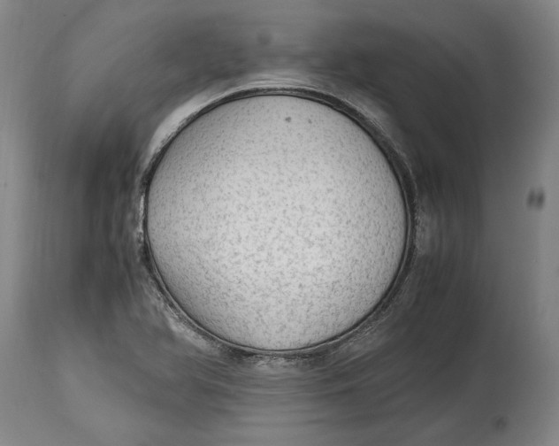 X0000114681366200911121447