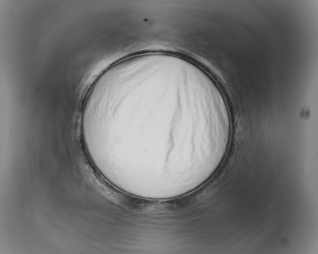 X0000114681367200911121447