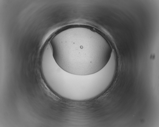 X0000114681368200911121447