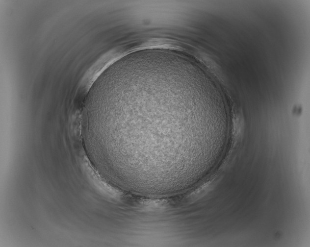 X0000114681369200911121447