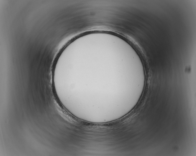 X0000114681372200911121447