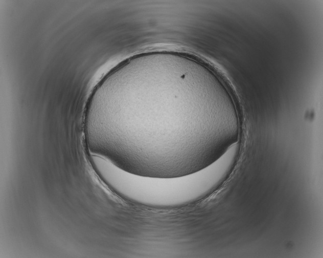 X0000114681373200911121447
