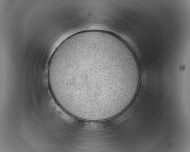 X0000114681374200911121447