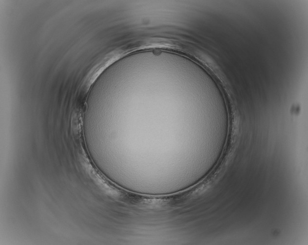 X0000114681377200911121447