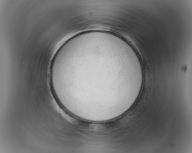 X0000114681379200911121447