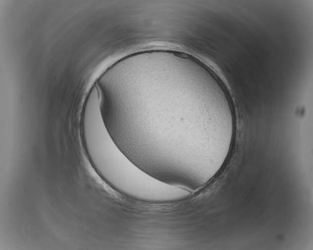 X0000114681381200911121447