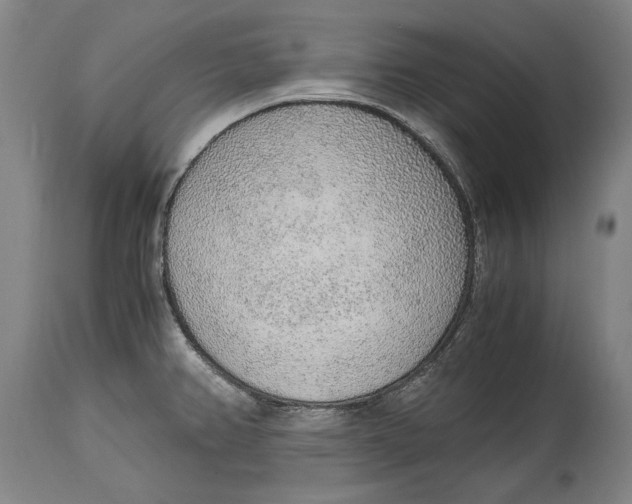 X0000114681382200911121447