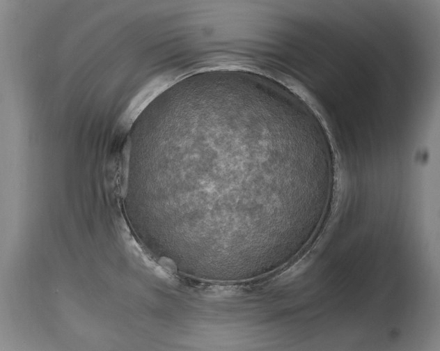 X0000114681385200911121447