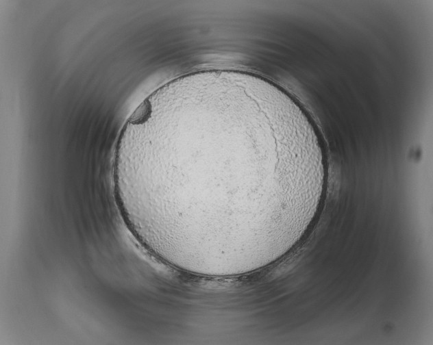 X0000114681386200911121447