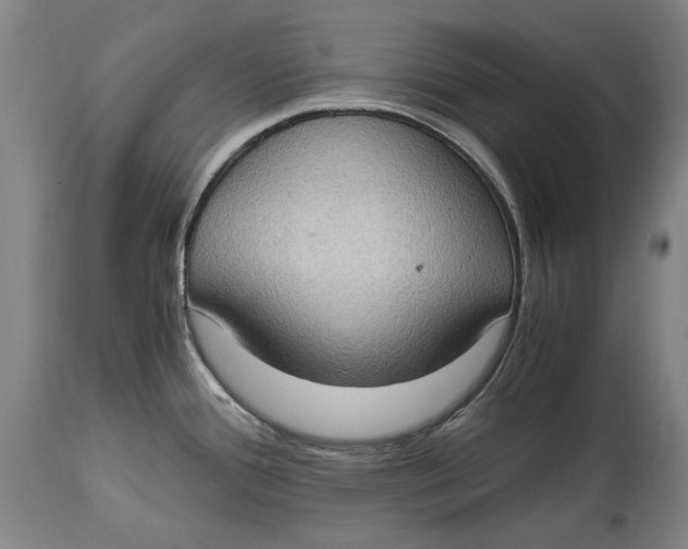 X0000114681388200911121447