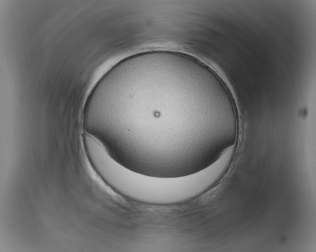 X0000114681389200911121447