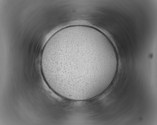 X0000114681390200911121447