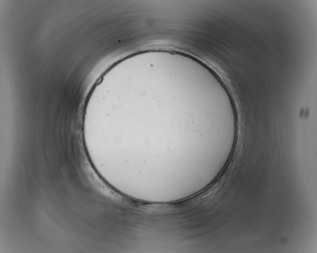 X0000114681392200911121447