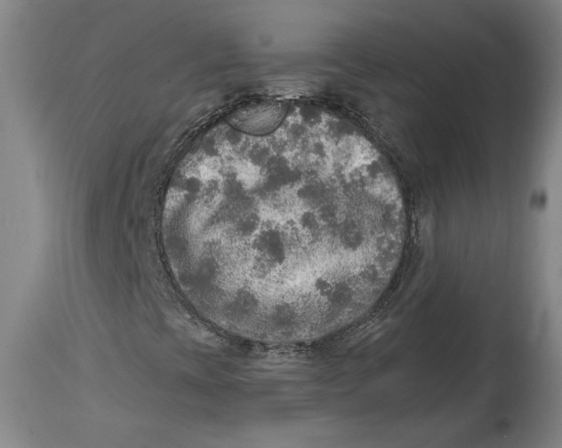 X0000114681393200911121446