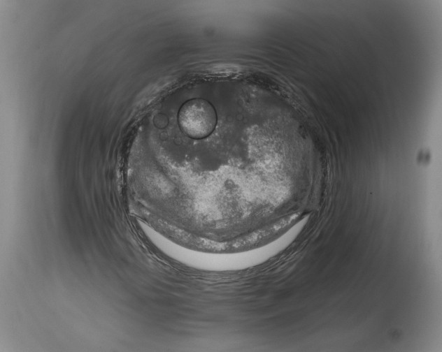 X0000114681394200911121446