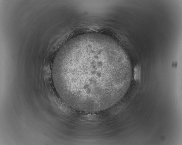 X0000114681395200911121446