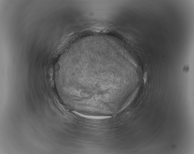 X0000114681396200911121446