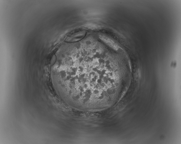 X0000114681397200911121446