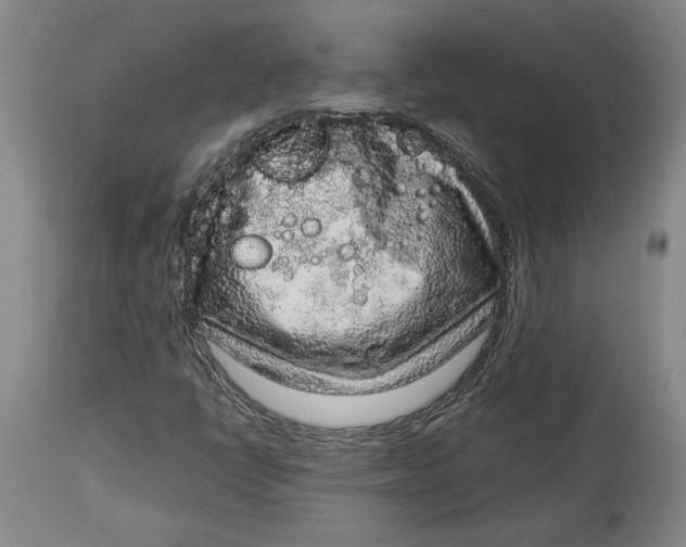 X0000114681398200911121446