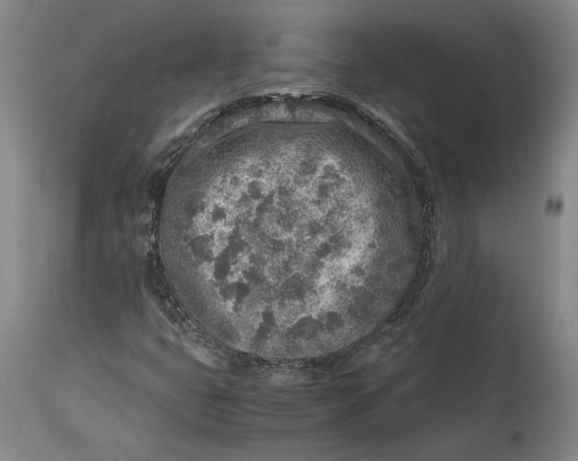X0000114681399200911121446