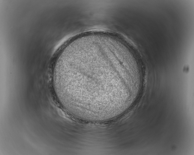 X0000114681400200911121446