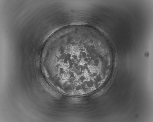 X0000114681401200911121446