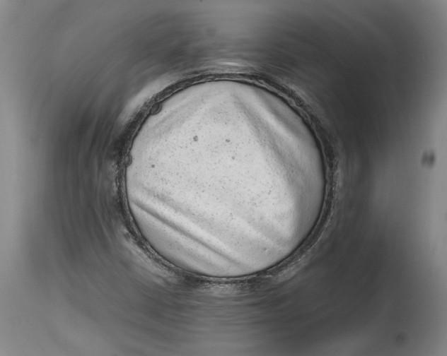 X0000114681402200911121446