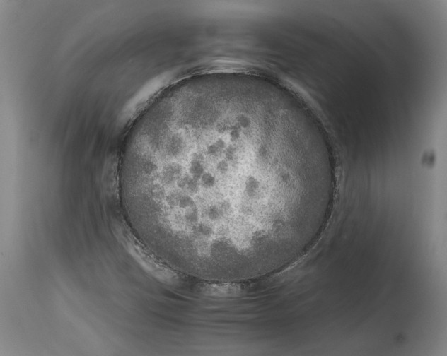 X0000114681403200911121446