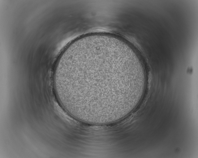 X0000114681404200911121446