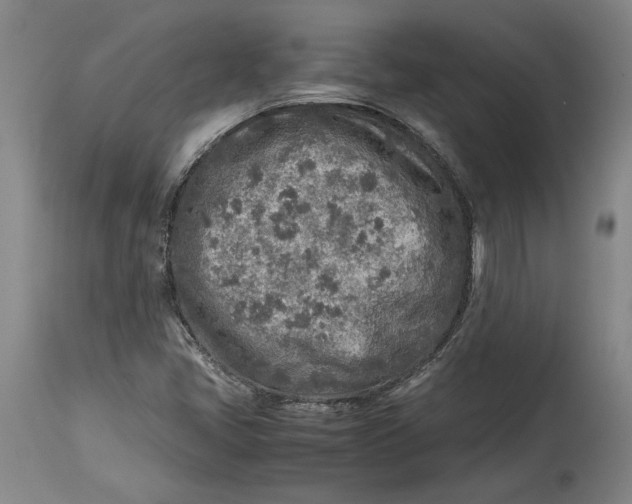 X0000114681405200911121446