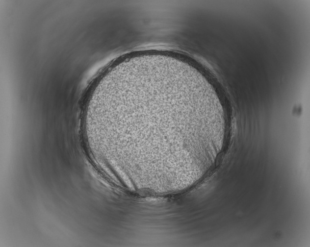 X0000114681406200911121446
