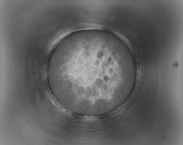 X0000114681407200911121446
