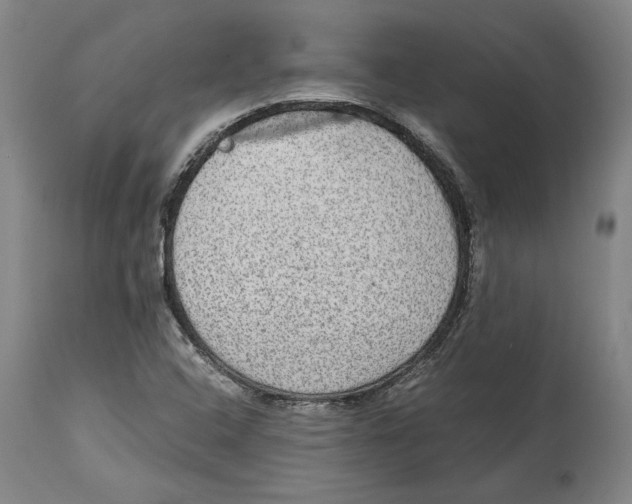 X0000114681408200911121446